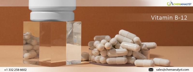 Track Vitamin B12 Price Index Historical and Forecast