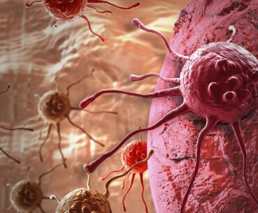 Researchers develop enhanced antibodies to unleash the immune system against cancer