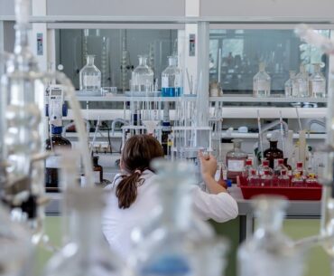 Research Reveals Immune Response to Pig Kidney Transplants