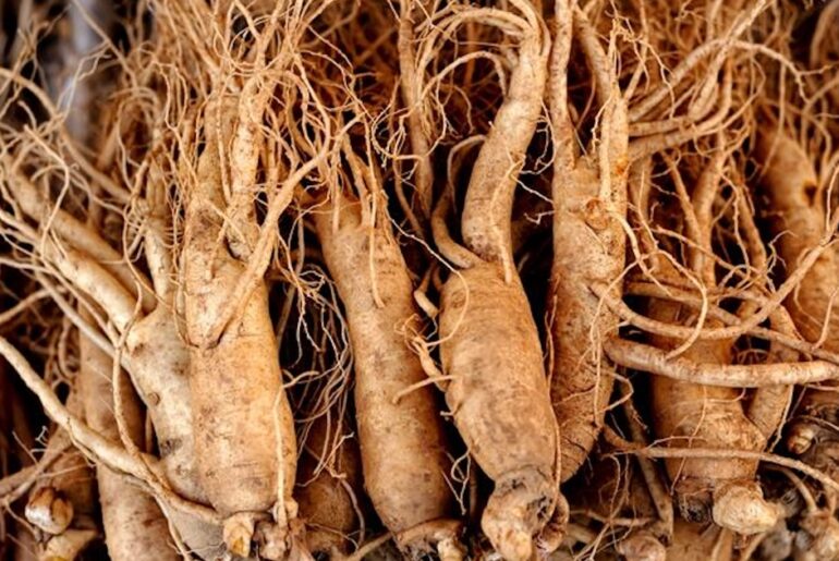 Ginseng adulteration remains durable feature of market