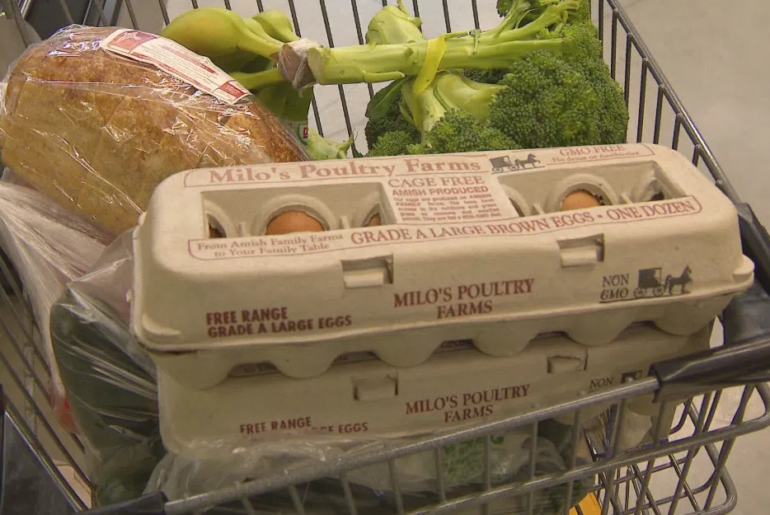 New grant links Wisconsin farmers with food banks to boost nutrition and community support