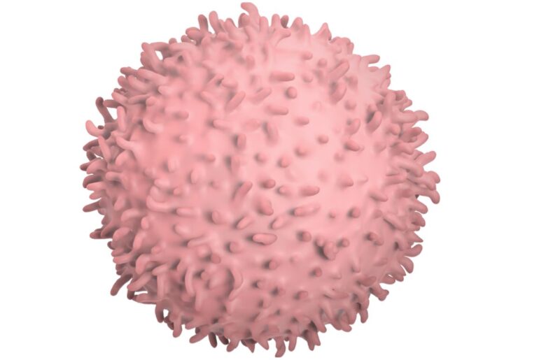 COVID-19 viral fragments target specific immune cells