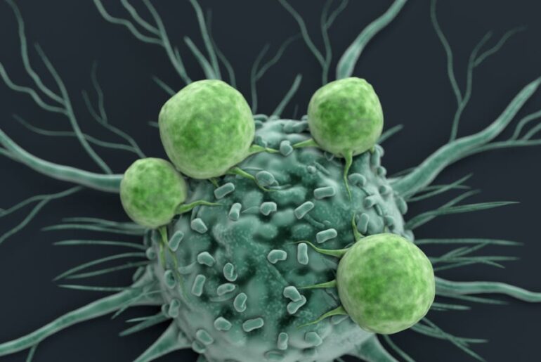 Scientists Want to Rejuvenate Your Immune System to Slow Down Aging