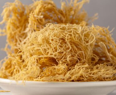 How Sea Moss Supplements Can Stave Off Winter Flu