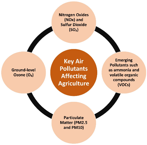 Smog On Our Plates How Air Pollution Strips Food Of Nutrition