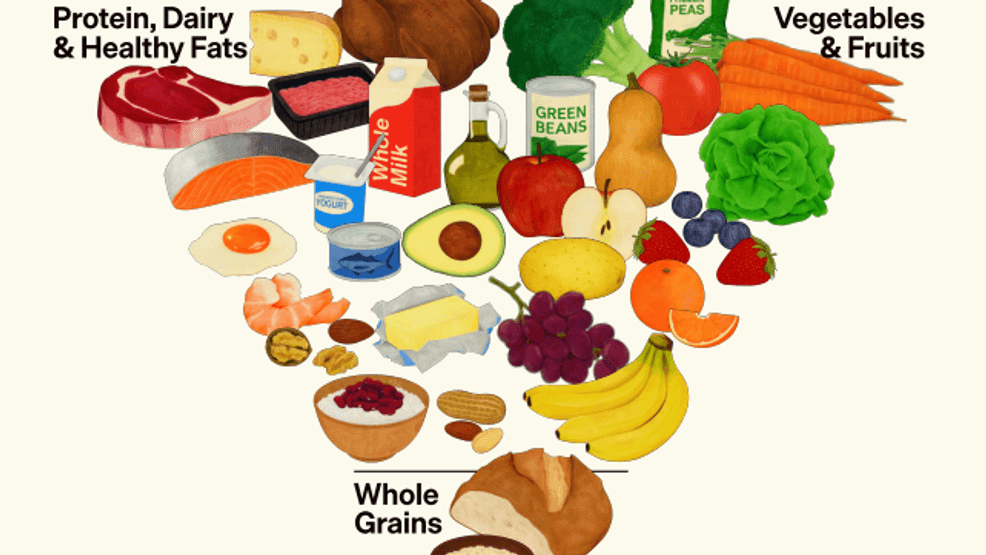{p}America is going back to the basic with their new 2025 - 2030 Dietary Guidelines—'Eat Real Food' is the tagline. Robert F. Kennedy Jr., Health and Human Services Secretary flipped the food pyramid around, emphasizing proteins, fruits, vegetables and whole grains. (USDA){/p}