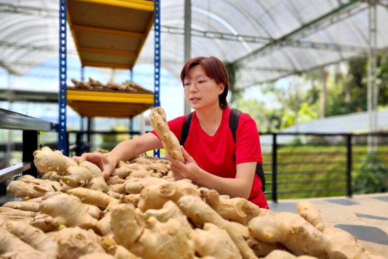 How good is a ginger shot for you? The wellness trend boasts a host of expert-backed benefits