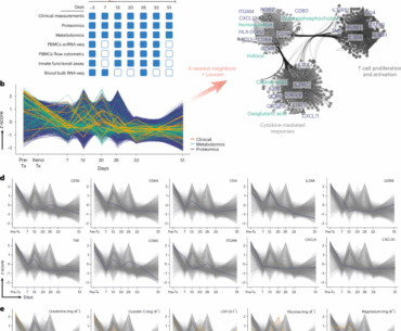 Immune profiling in a living human recipient of a gene-edited pig kidney