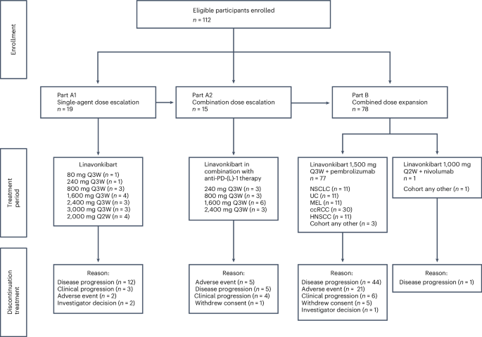 Linavonkibart and pembrolizumab in immune checkpoint blockade-resistant advanced solid tumors: a phase 1 trial