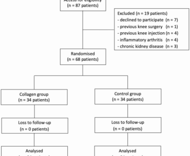 Efficacy of combined undenatured type II collagen and hydrolysed collagen supplementation in knee osteoarthritis: a randomised controlled trial