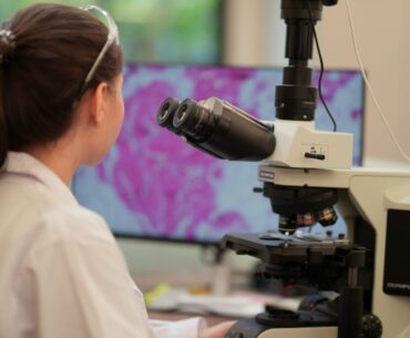 Precision Dermatology: Aligning Immune Pathways with Therapy