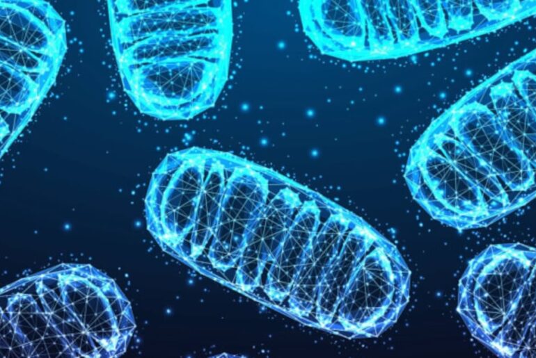 A round-up of the latest science