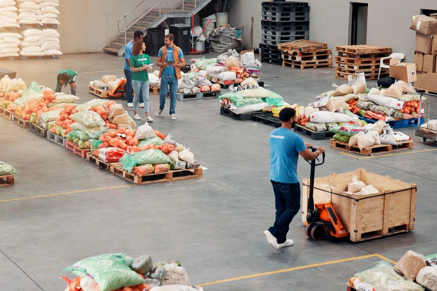 Nutrition Insight logo