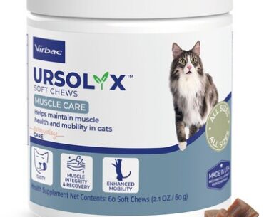 Virbac Launches URSOLYX™ Soft Chews for Cats: Feline Muscle Support Supplement
