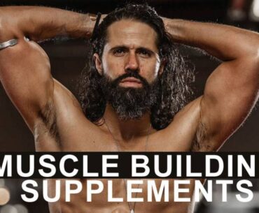 Best Muscle Building & Body Building Supplements 2026 in US - Effective Bulking And Muscle Growth Supplements For Beginners - Launched By Wolfson Brands