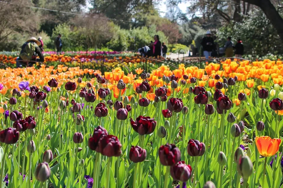 Visitors can find every color of the rainbow here.