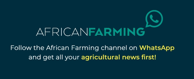 Ask The Vet | Horse Nutrition