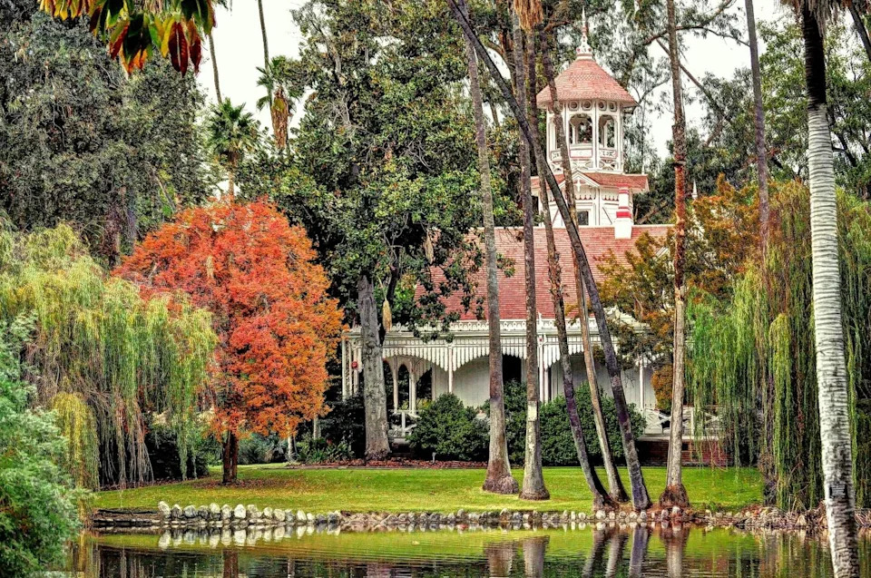 There are so many different types of plants and flowers at the LA County Arboretum Los Angeles County Arboretum and Botanic Garden.