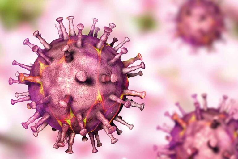 African swine fever virus, 3D illustration.