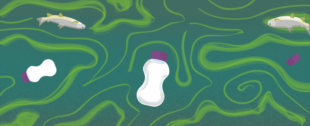 To sip or not to sip: the environmental burden of oral nutritional supplements