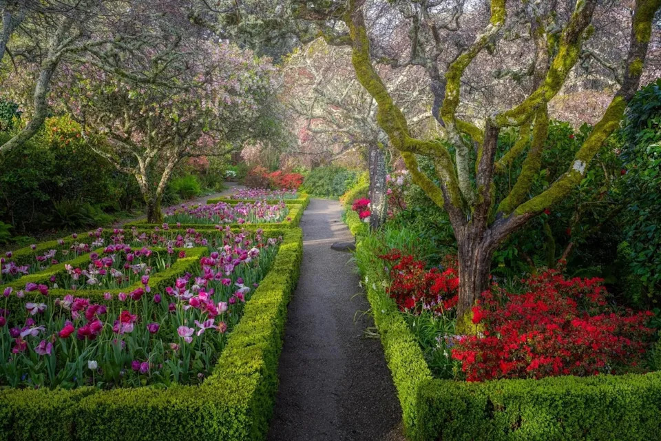 Paths guide the way for visitors to Filoli Historic House & Garden.