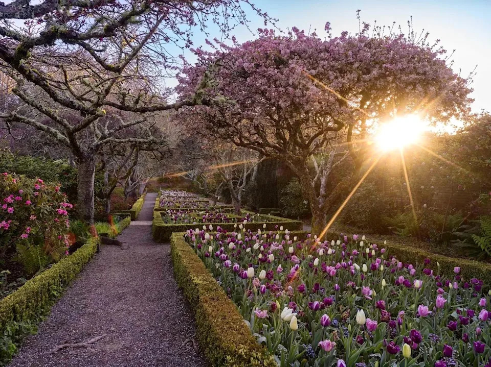Sunny springtime is a great time to visit Filoli Historic House & Garden.