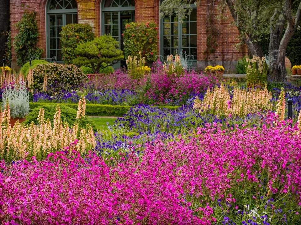 Summer flower beds are stunning in front of the Garden House.