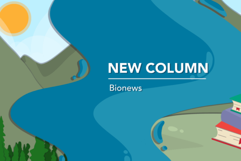 Starting the year with a vision of wellness and a plan to follow through