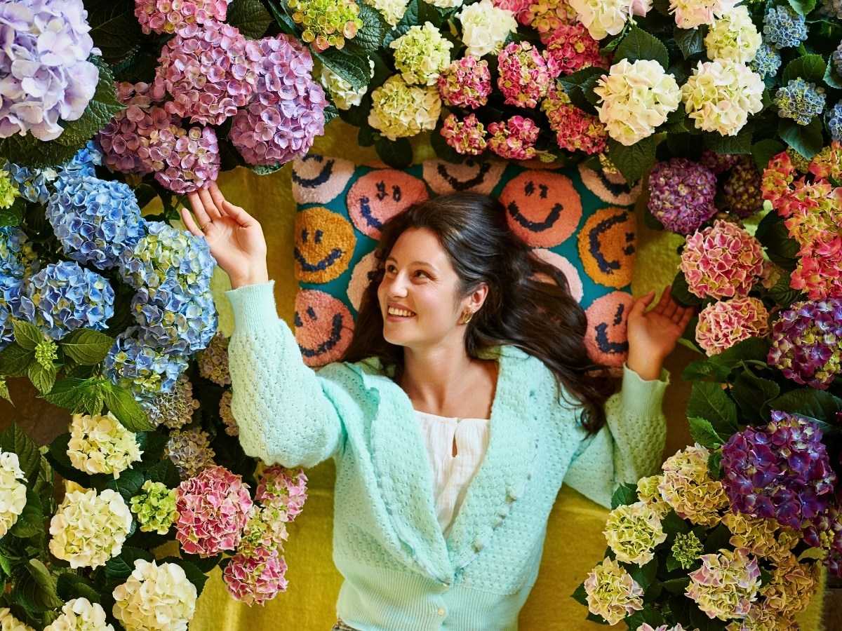 Hydrangea World’s Vitamin Hydrangea Campaign Returns, Championing the Impact of Color on Well-Being.