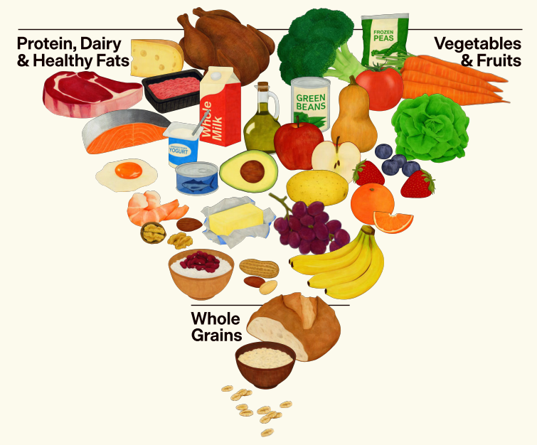 Dietary Guidelines for Americans 2025-2030 New Food Pyramid