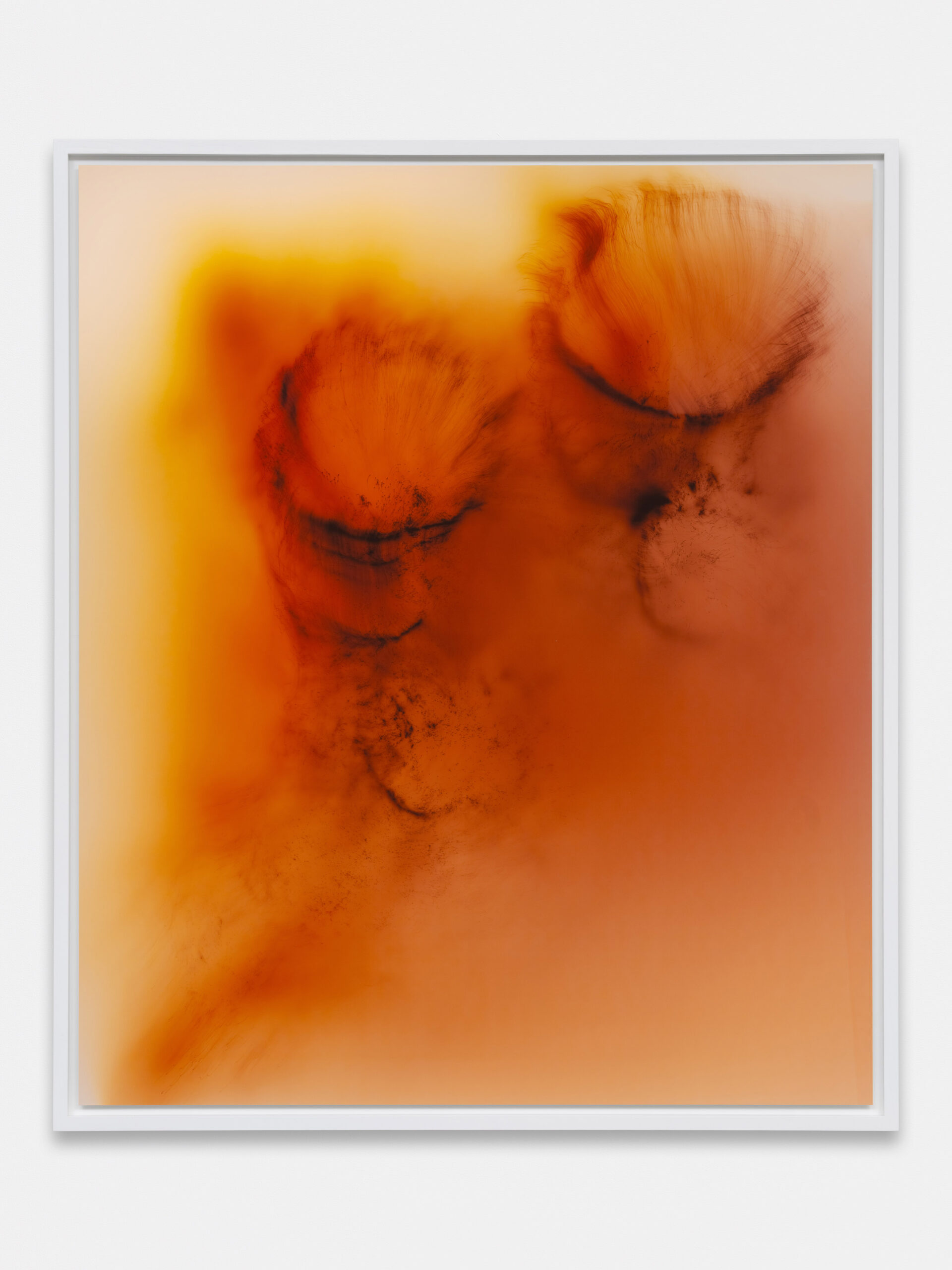 Wolfgang Tillmans, Time Flows All Over 5, 2025, Image courtesy of Regen Projects. 