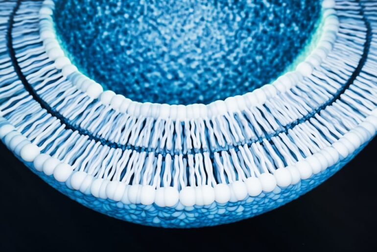 Sibelius and LipoActive launch heat-free liposomal platform