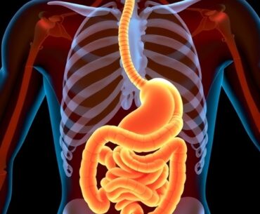 Vitamin D Boosts Muscle Function in Intestinal Failure Patients