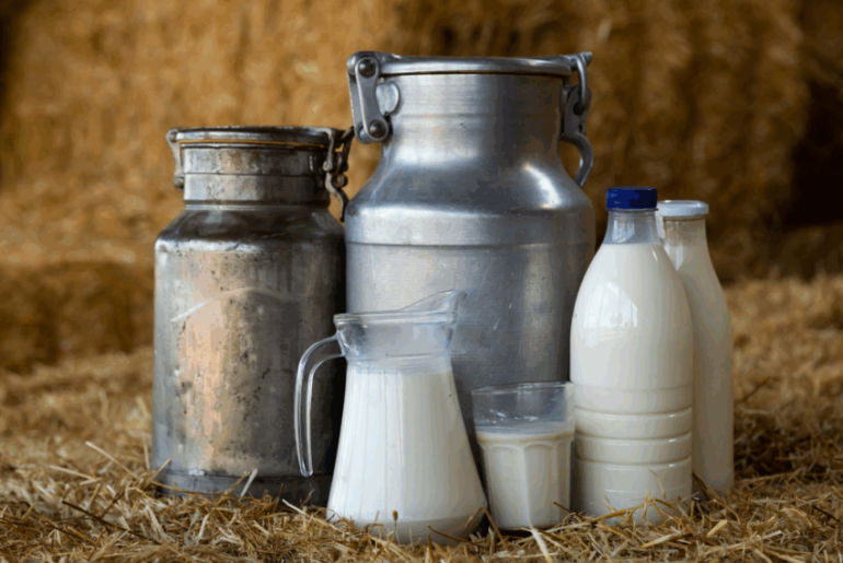 Why Whole Milk Is Back in Schools and How We Got Here