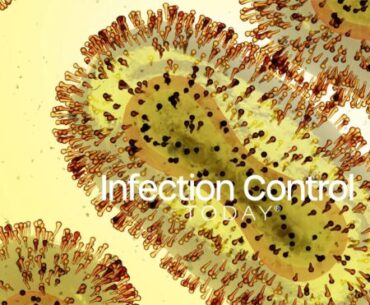 Mpox Immunity May Wane Over Time, Raising Questions for Long-Term Infection Prevention Planning