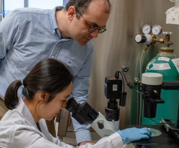 Loss of vitamin C synthesis protects animals from schistosomiasis: Newsroom