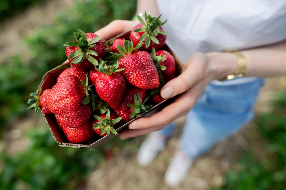 beauty resolutions dermatologists want you to make