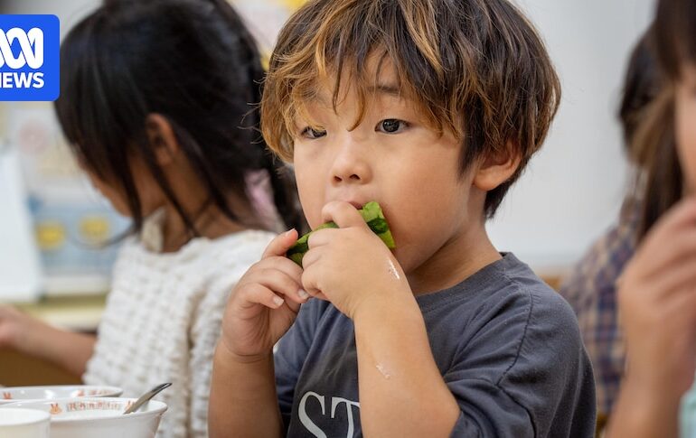 Japan's journey from unlicensed 'baby hotels' to delivering restaurant-quality childcare food