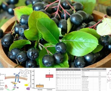 This vitamin-packed fruit regulates blood sugar and blood pressure