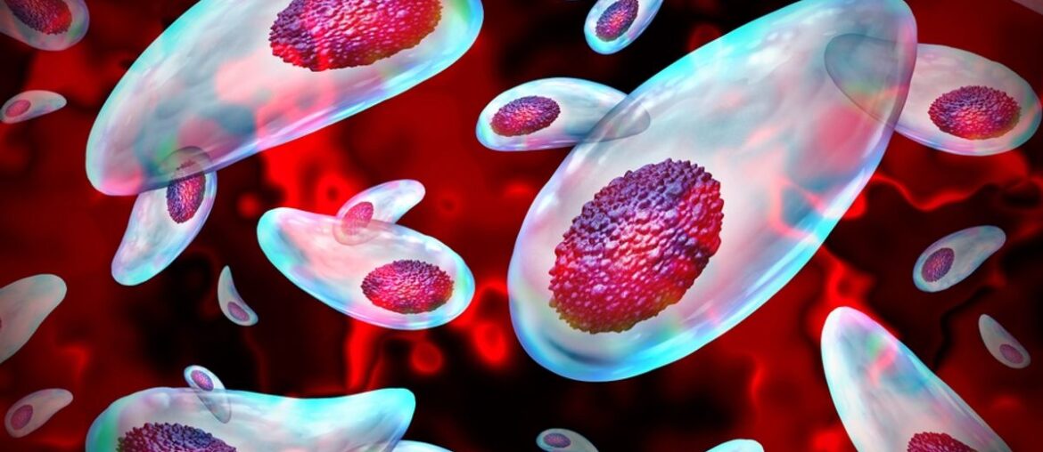 Discover Magazine Logo