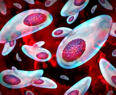 Discover Magazine Logo