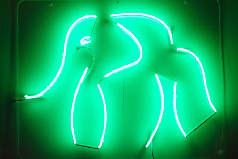 Is Drunk Elephant Moving on From the Sephora Tweens?