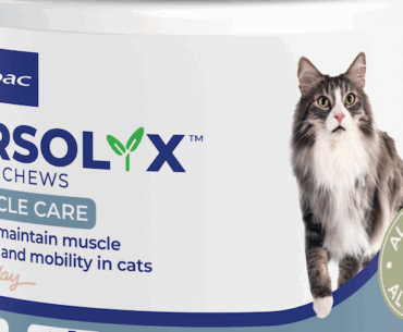 Image Credit: © Gorodenkoff