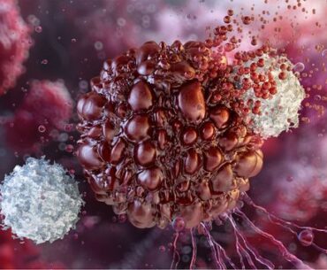 How Dendritic Cells Detect Tumors Through Cancer Cell Debris