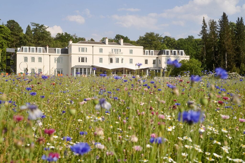 Coworth Park and field of flowers.