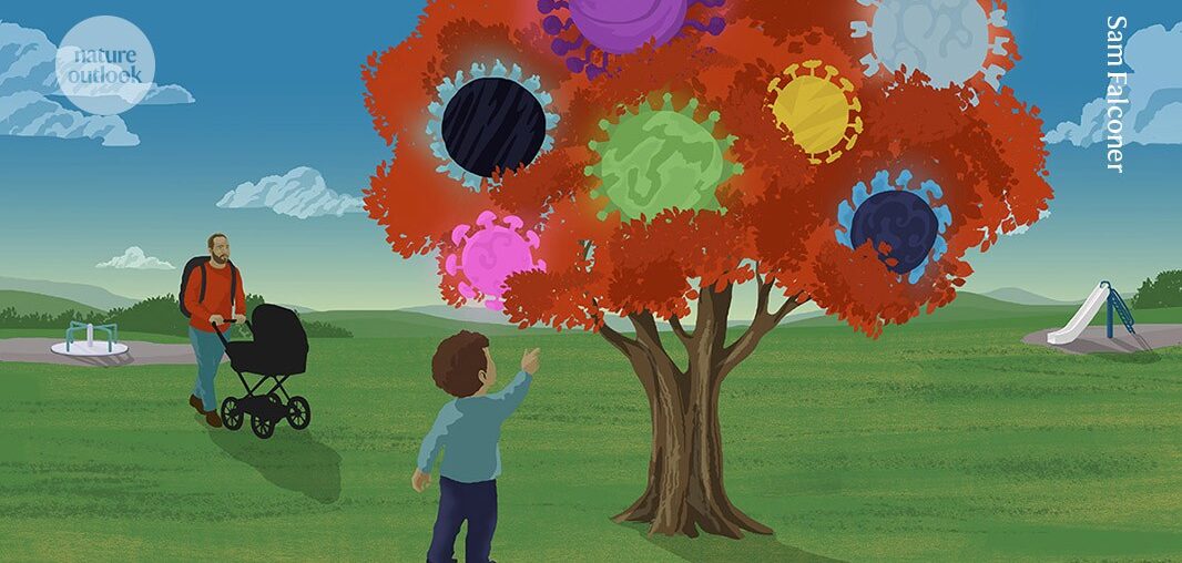 how a person’s earliest flu infections dictate life-long immunity