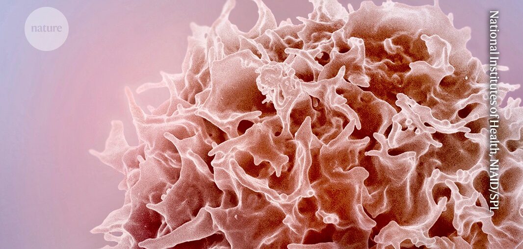 mRNA therapy turns back the clock