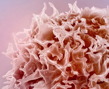 mRNA therapy turns back the clock