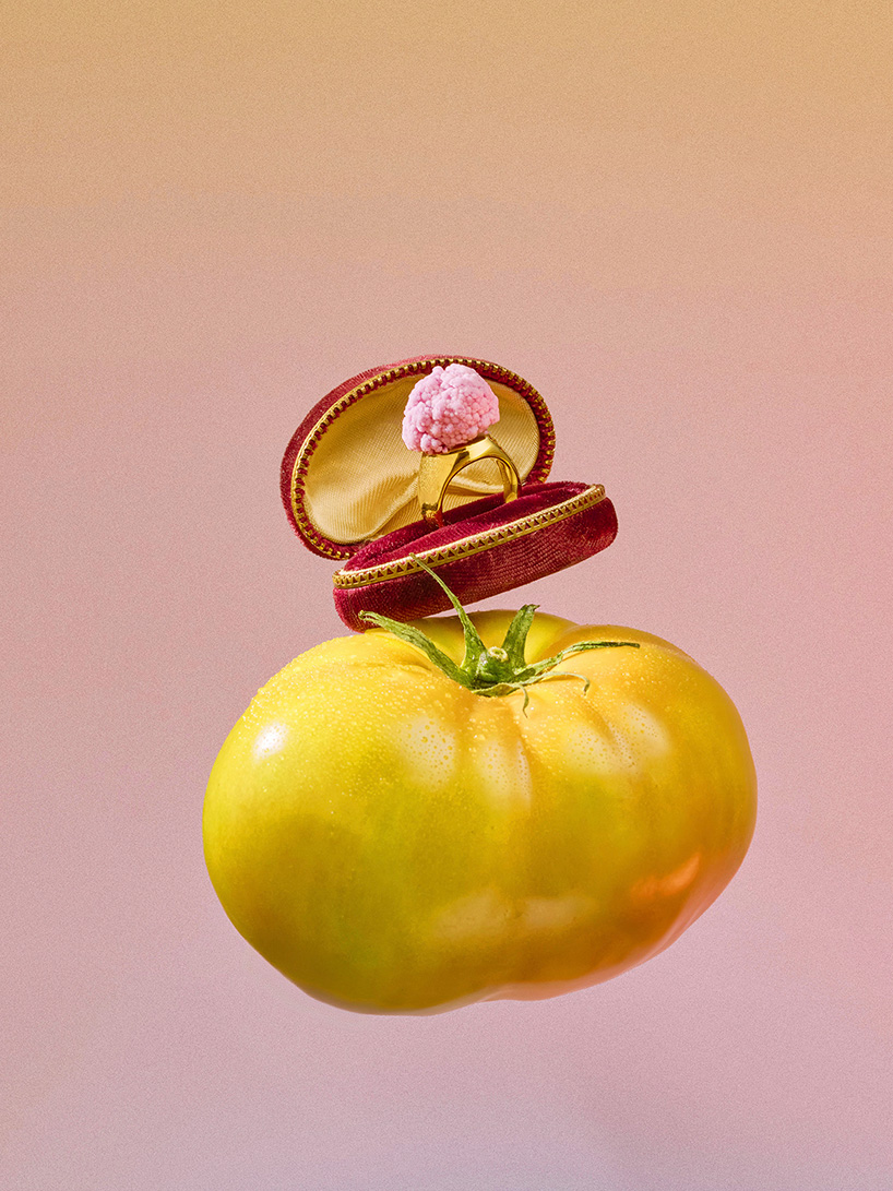 everyday objects are reimagined through real vegetables 5