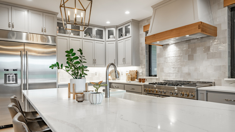 Minimalist wellness kitchen and counters